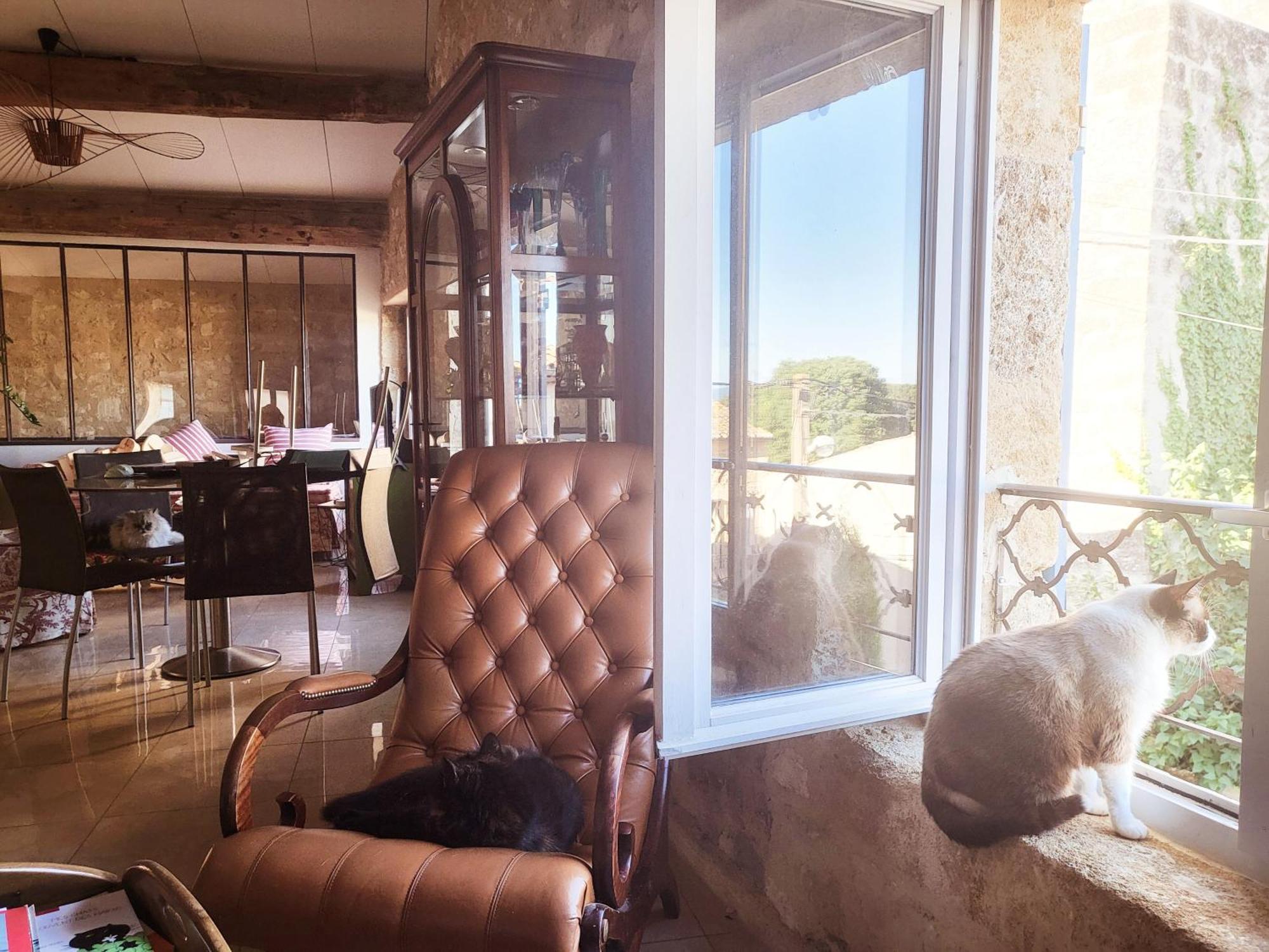 La Rose Du Vent Bed and Breakfast Saint-Pons-de-Mauchiens Buitenkant foto
