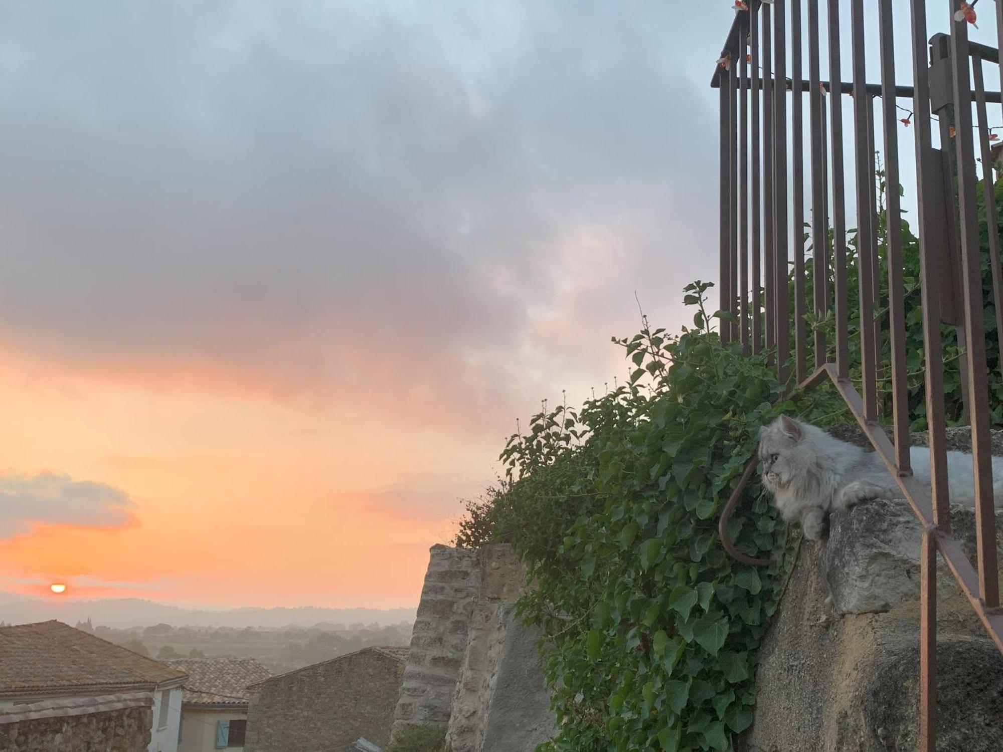 La Rose Du Vent Bed and Breakfast Saint-Pons-de-Mauchiens Buitenkant foto